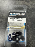 GREASE FITTING CAP 19-77633Q
