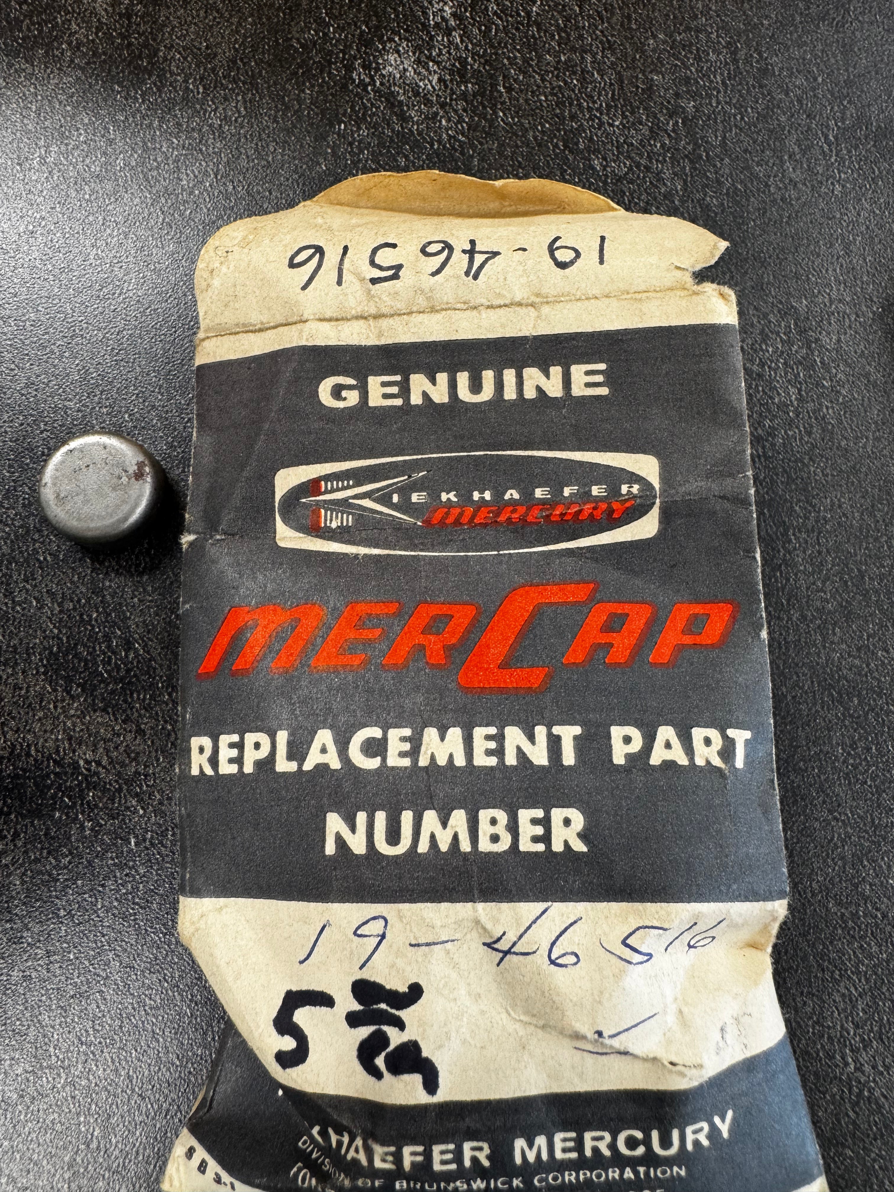 EXPANSION PLUG 19-46516