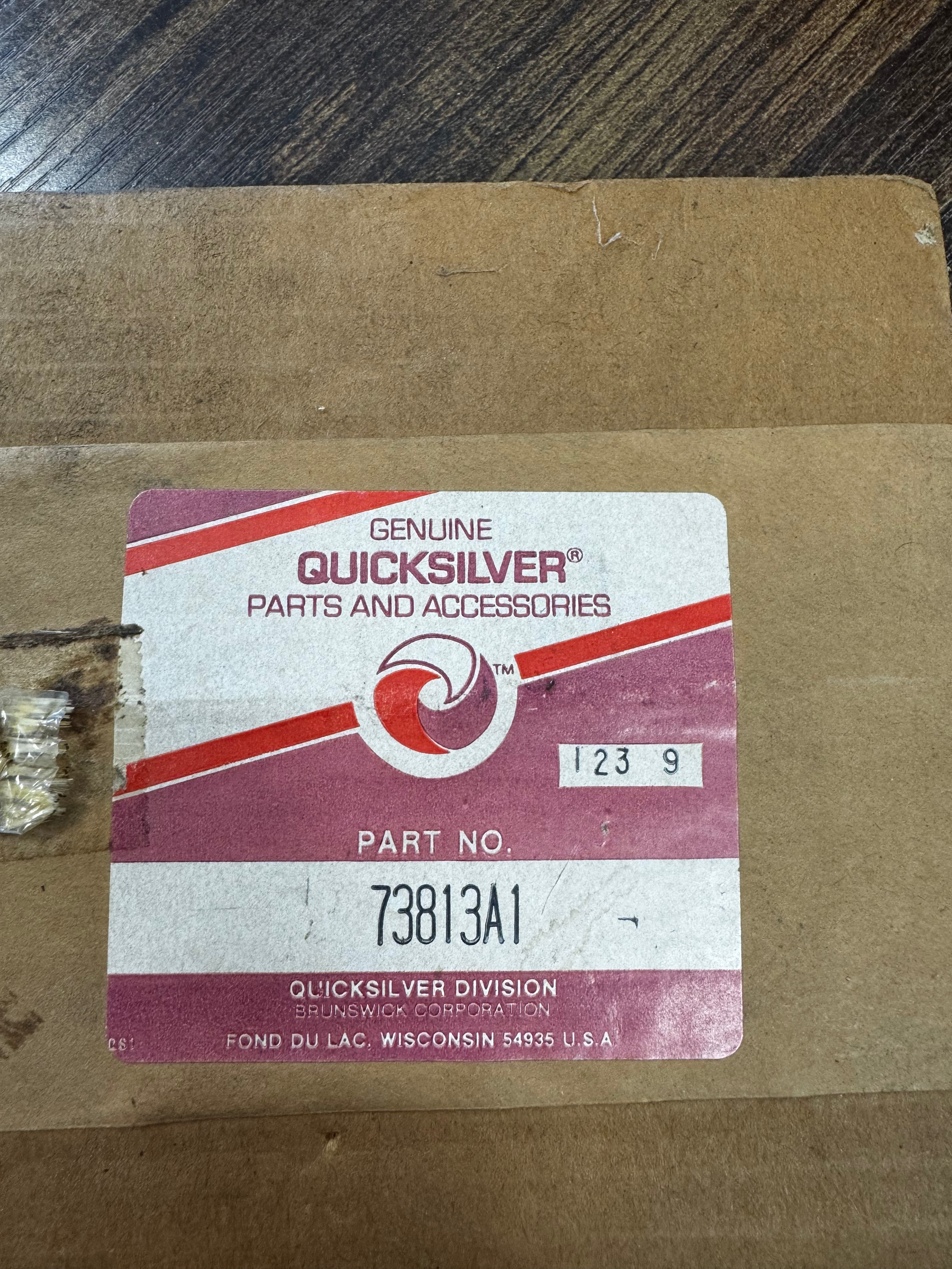 EXHAUST ENDCAP 73813A1